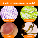 Mini Microscópio Infantil – Explore, aprenda e divirta-se descobrindo o invisível!