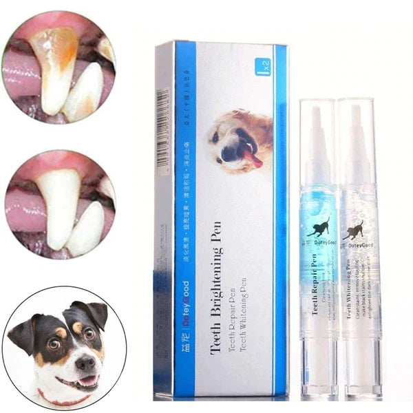 Caneta Escova de Dente Limpadora de dentes Pet Cães e Gatos Anti Tártaro e Bactérias