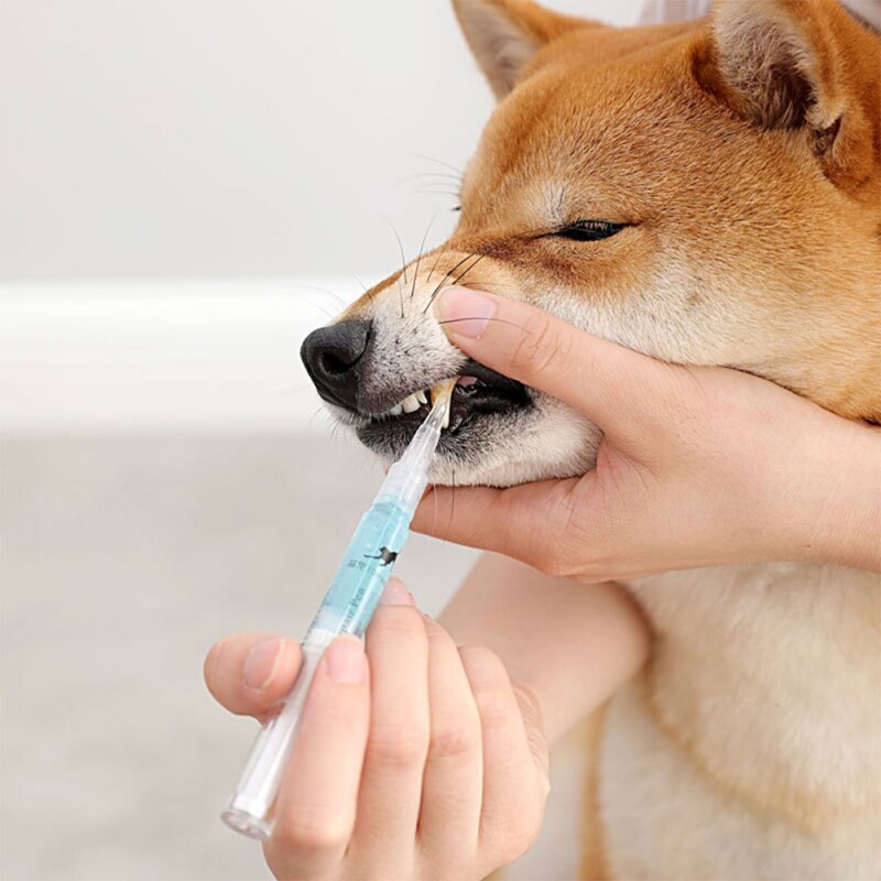 Caneta Escova de Dente Limpadora de dentes Pet Cães e Gatos Anti Tártaro e Bactérias